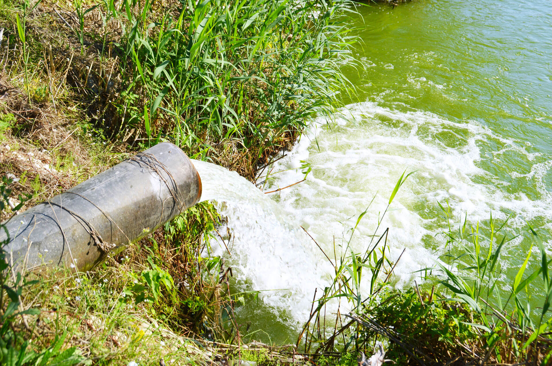 Загрязнение воды промышленные отходы